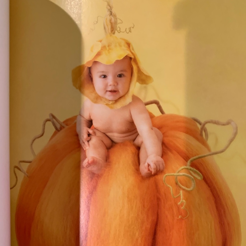 Anne Geddes “Little Blessings” - Picture 4 of 9